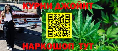 крисы Будённовск