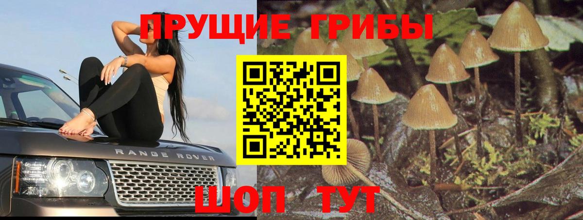 Галлюциногенные грибы ЛСД  Псилоцибиновые грибы MAGIC MUSHROOMS  Чусовой  Вход с VPN 