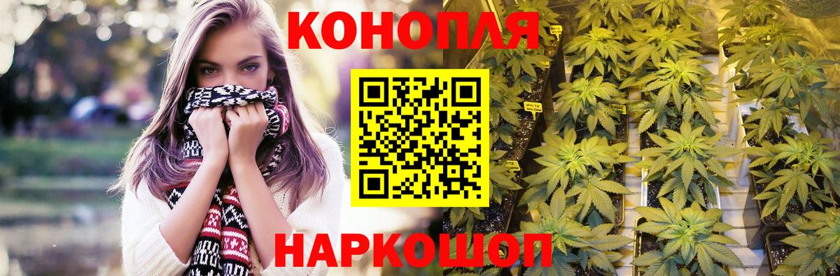 Шишки марихуана Amnesia Чусовой